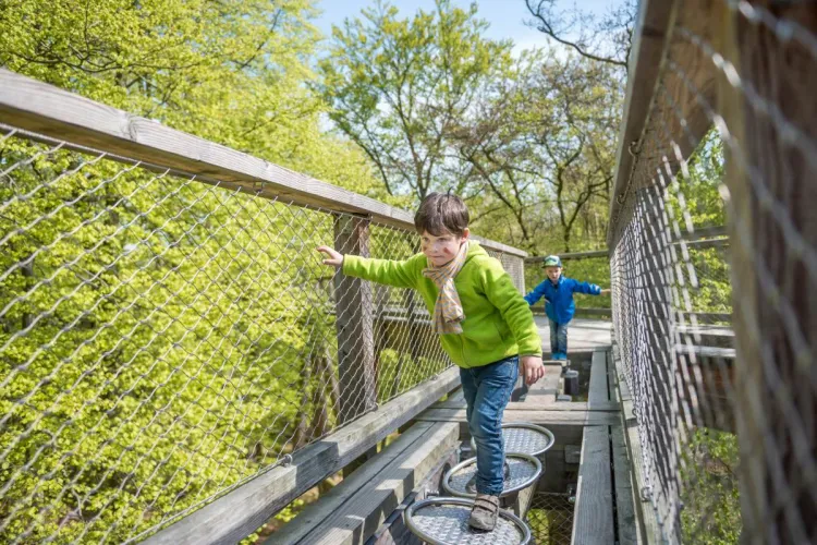 Zwei Kinder gehen über den Baumwipfelpfad auf Rügen und genießen den Familienurlaub auf Rügen.