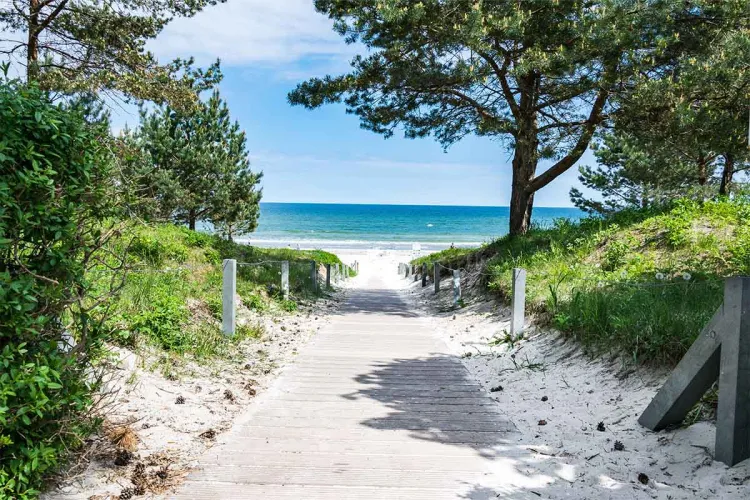 Ein Holzweg führt zum sonnigen Sandstrand an der Ostsee und zum blauen Wasser, gesäumt von Bäumen und Grünfläche.