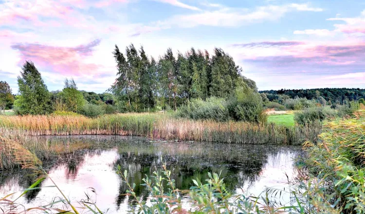 Golfplatz Schloss Karnitz bei schönem Wetter. Perfekt für einen Urlaub im Arkona Strandhotel auf Rügen.