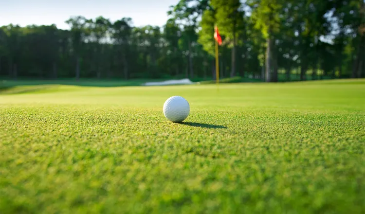 Detailaufnahme eines Golfballs auf einem besonders grünem Fairway im Golfurlaub im Arkona Strandhotel auf Rügen.