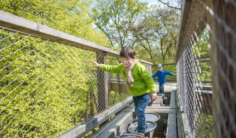 Zwei Kinder gehen über den Baumwipfelpfad auf Rügen und genießen den Familienurlaub auf Rügen.
