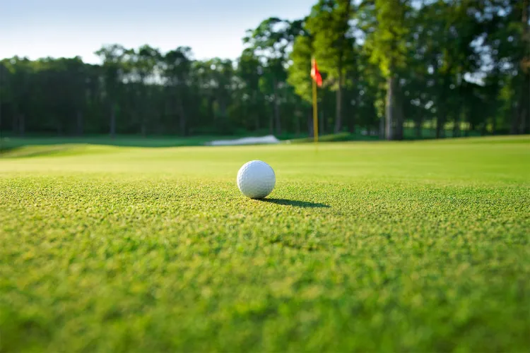 Detailaufnahme eines Golfballs auf einem besonders grünem Fairway im Golfurlaub im Arkona Strandhotel auf Rügen.