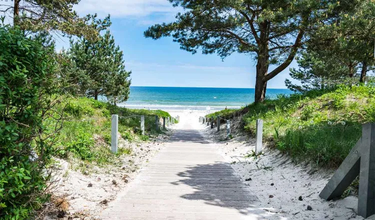 Ein Holzweg führt zum sonnigen Sandstrand an der Ostsee und zum blauen Wasser, gesäumt von Bäumen und Grünfläche.