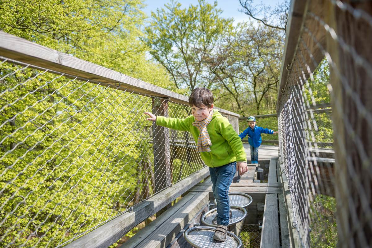 Zwei Kinder gehen über den Baumwipfelpfad auf Rügen und genießen den Familienurlaub auf Rügen.